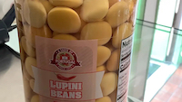 A Taste of Portugal Spicy Lupini Beans